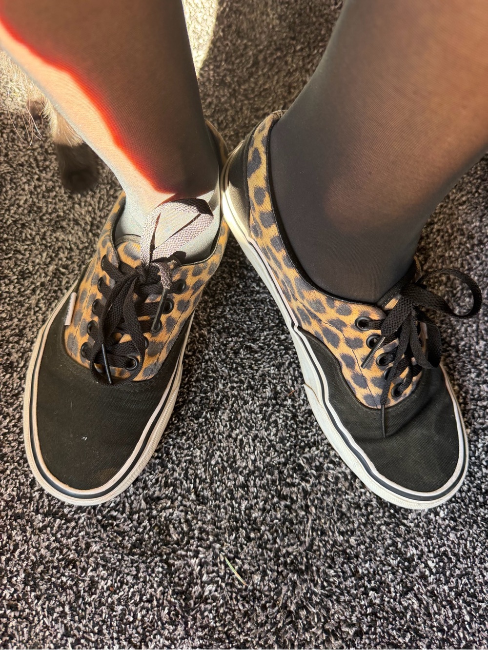 Rare Animal Print Vans Black Canvas Sneakers w Leopard Print Panels Mens Size: 7